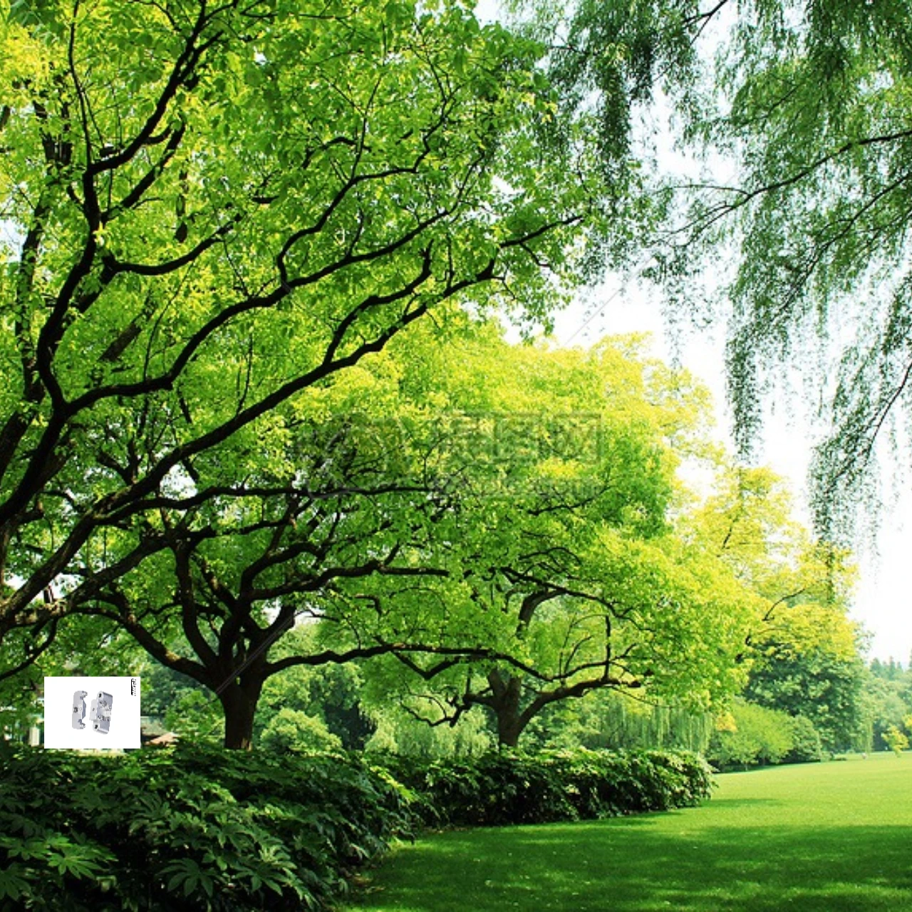 GPM 7075 Alloy Front Bulkhead for LOSI 1/24 Micro-B 1/28 Micro-T LOS-1761 - Upgrade Racing Car Part - Image 7