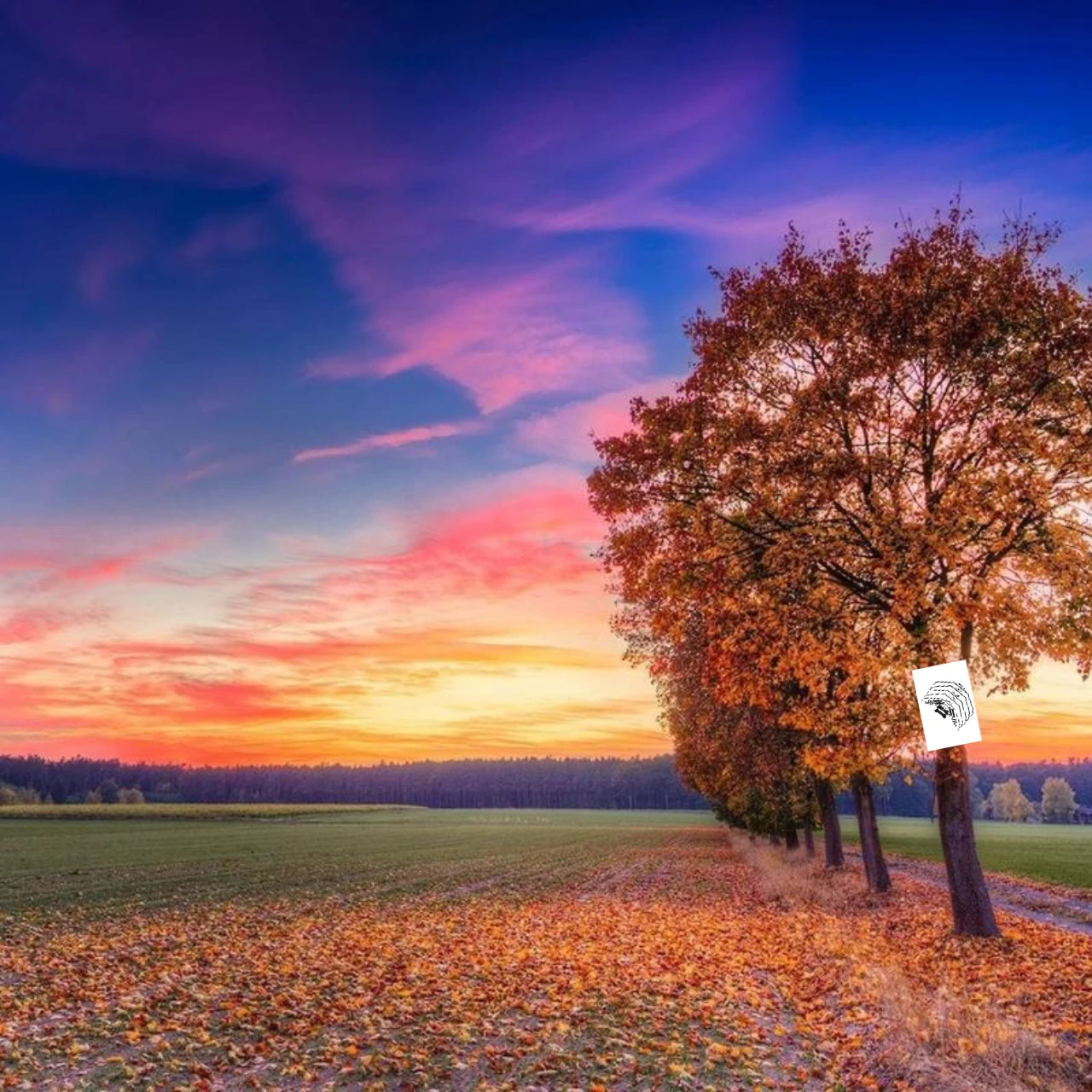 GPM 7075 Alu Sway Bar Mount & Linkage And Wire kit For TRAXXAS Maxx slash 10295 - Image 7