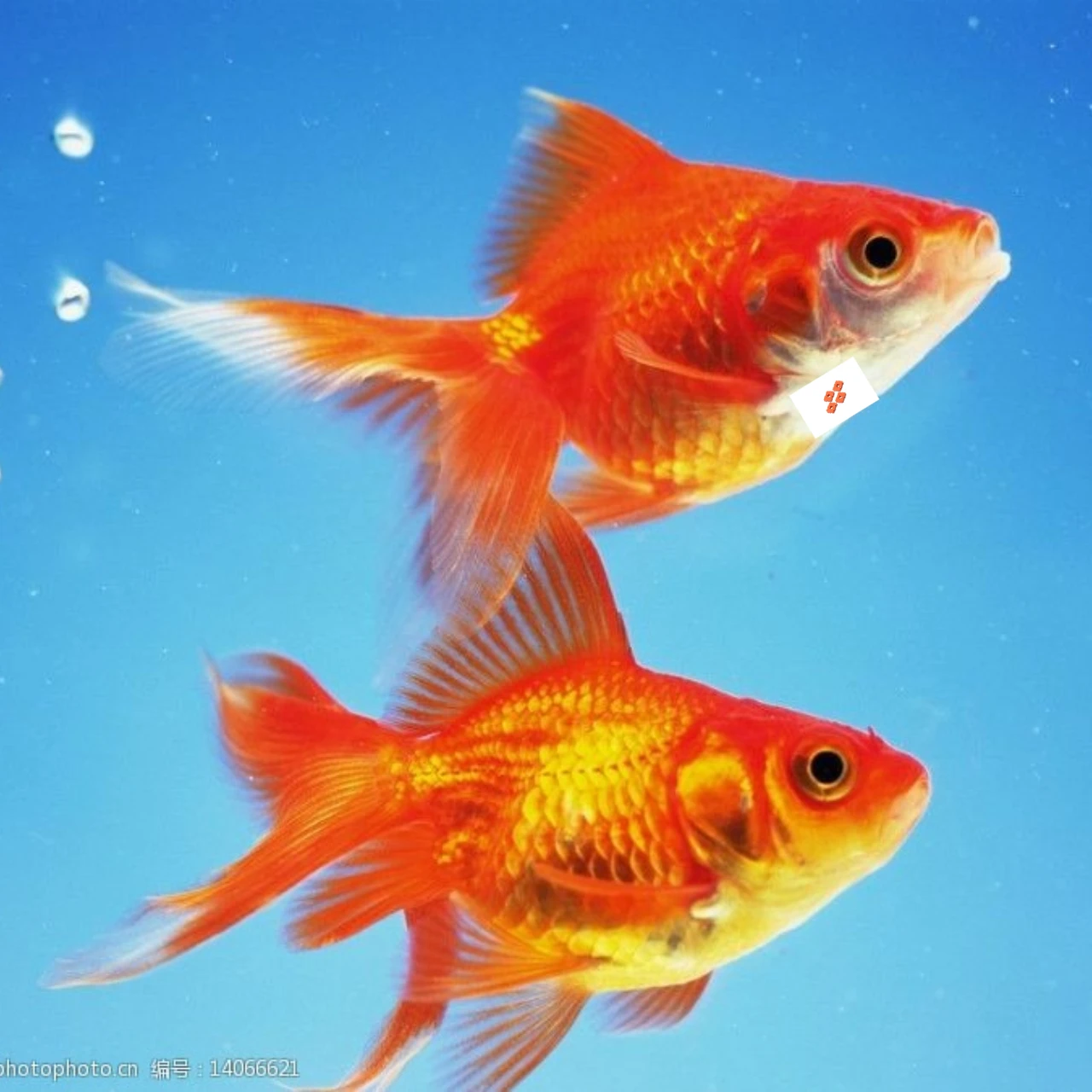 GPM 7075 Alloy Anodized Hardened Diff Gear Spacers for TRAXXAS XRT X-Maxx - Upgrade Racing Accessory - Image 3